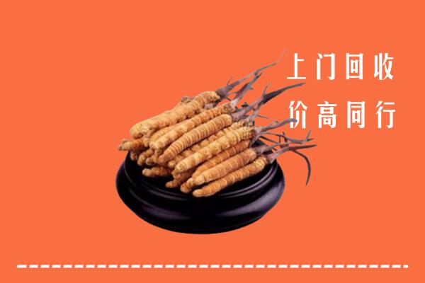 高价求购：日喀则市白朗县回收散虫草