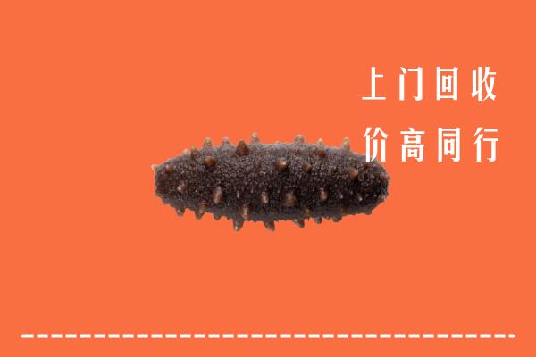 高价求购：日喀则市白朗县回收海参