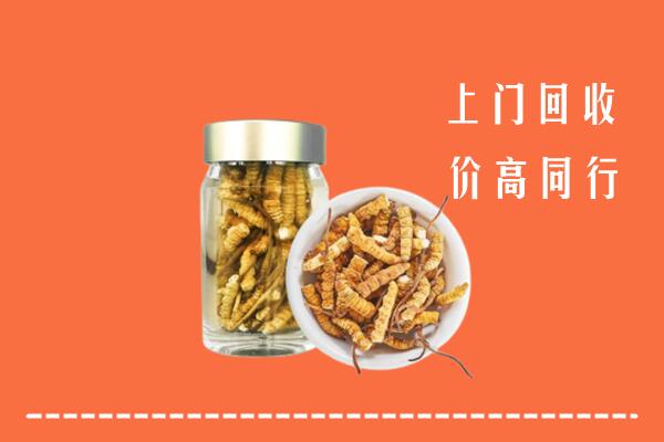 日喀则市白朗县回收冬虫夏草