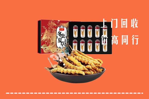 日喀则市白朗县回收虫草